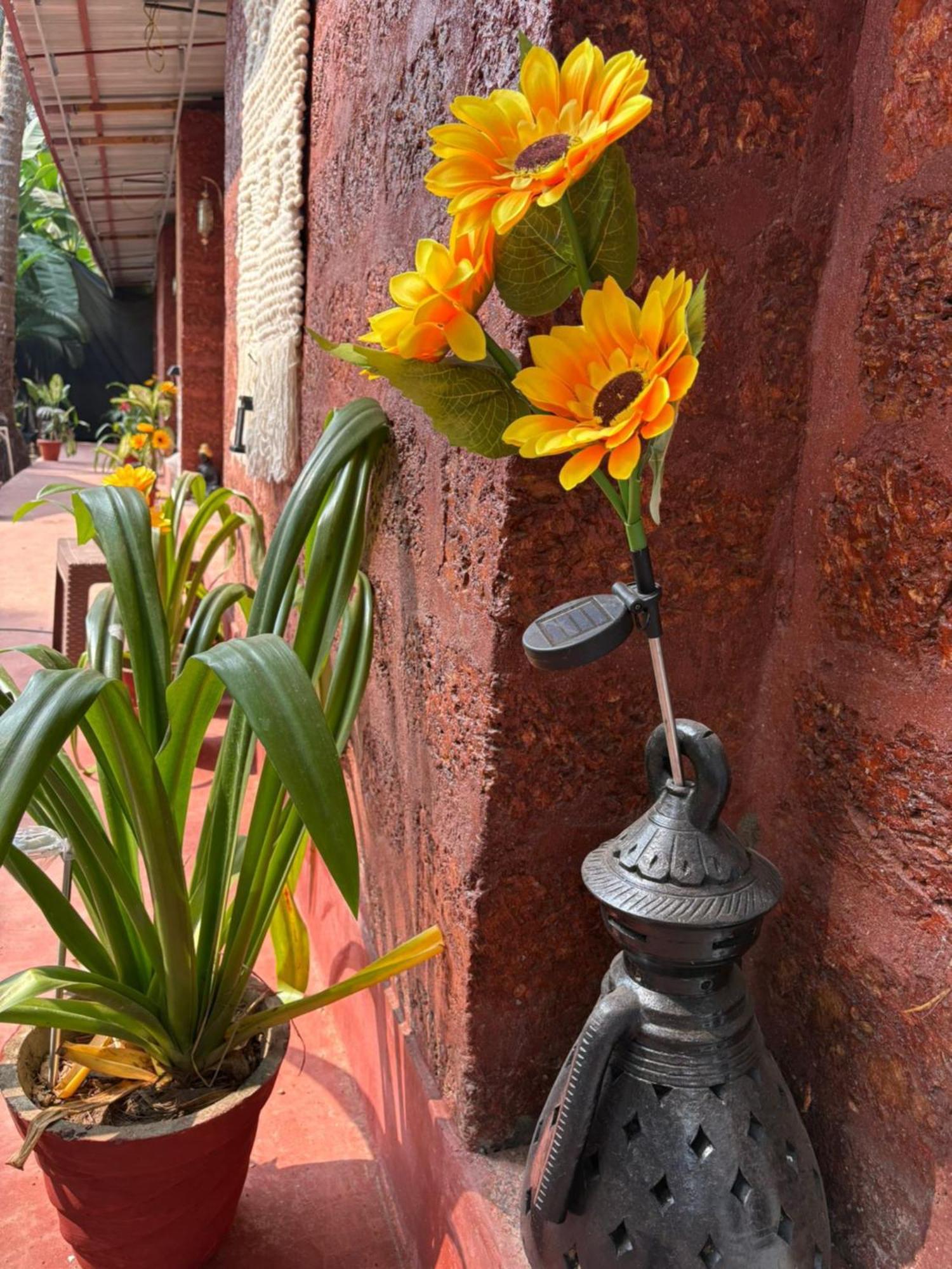 The Charming Nights Hotel Bãi biển Bãi biển Palolem Ngoại thất bức ảnh